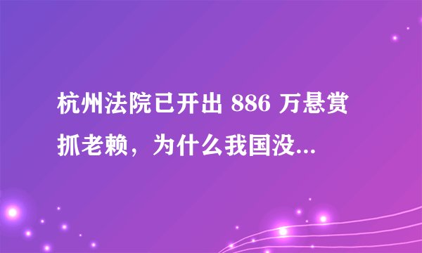 杭州法院已开出 886 万悬赏抓老赖，为什么我国没有诞生赏金猎人？