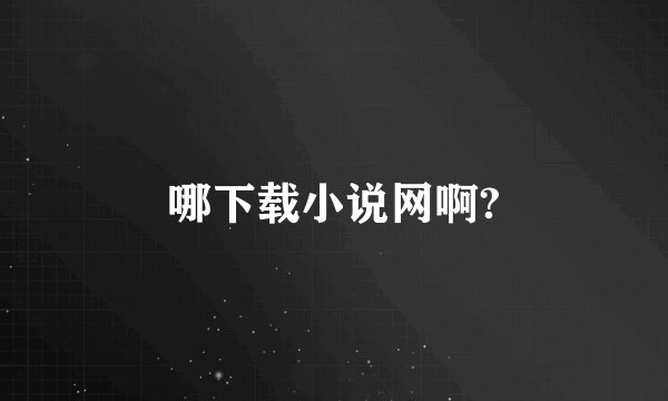 哪下载小说网啊?