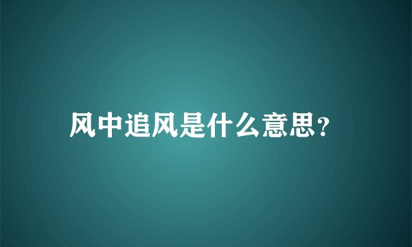 风中追风是什么意思？