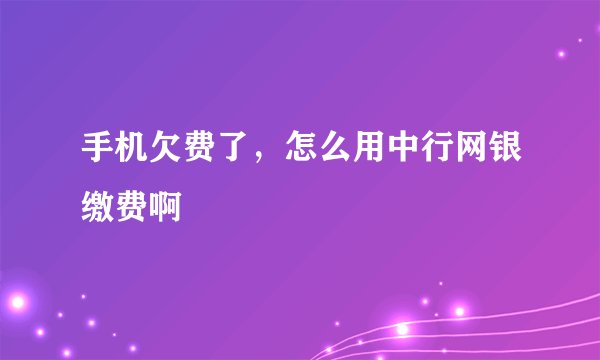 手机欠费了，怎么用中行网银缴费啊