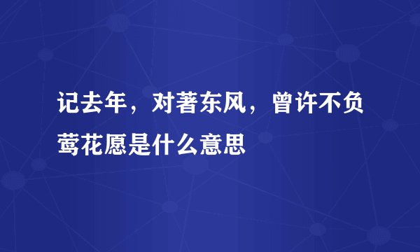 记去年，对著东风，曾许不负莺花愿是什么意思