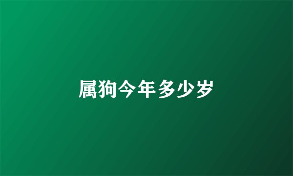 属狗今年多少岁