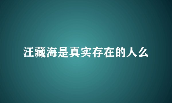 汪藏海是真实存在的人么