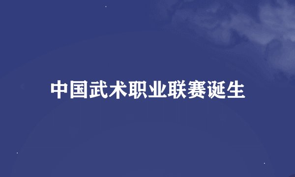 中国武术职业联赛诞生