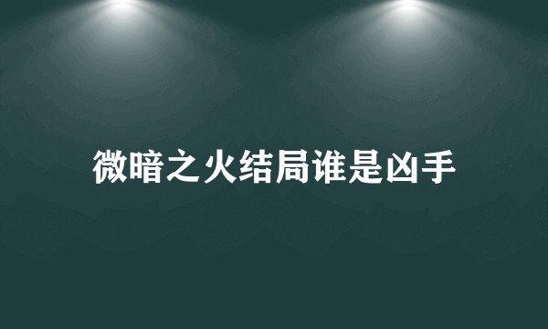 微暗之火结局谁是凶手