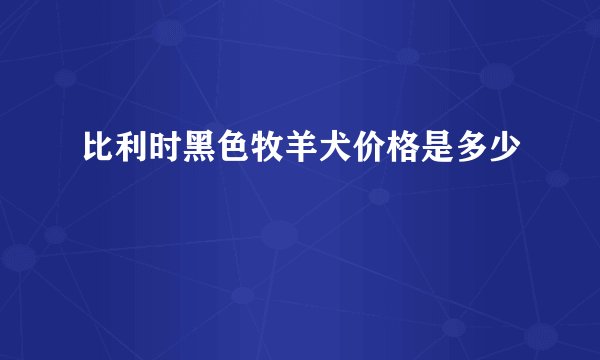 比利时黑色牧羊犬价格是多少