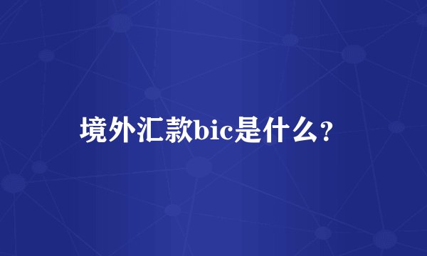 境外汇款bic是什么？