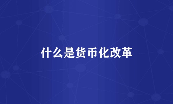 什么是货币化改革