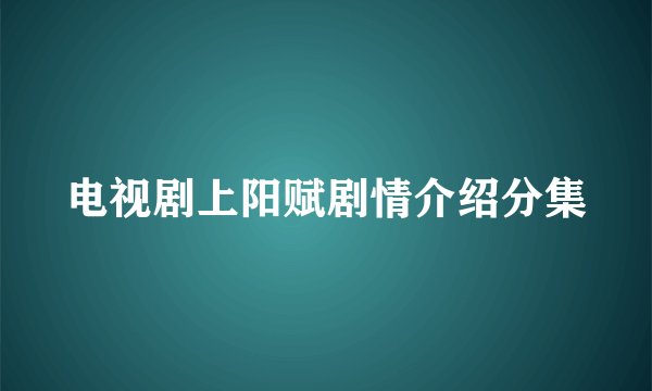 电视剧上阳赋剧情介绍分集