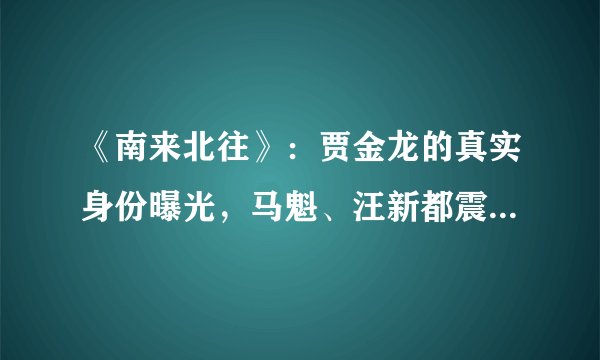 《南来北往》：贾金龙的真实身份曝光，马魁、汪新都震惊到了！