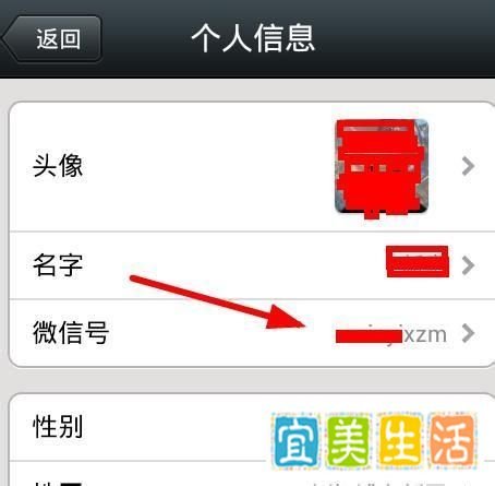 手机（苹果）微信号怎么改