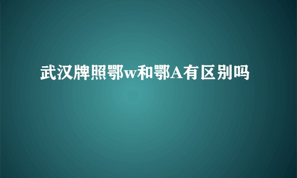 武汉牌照鄂w和鄂A有区别吗