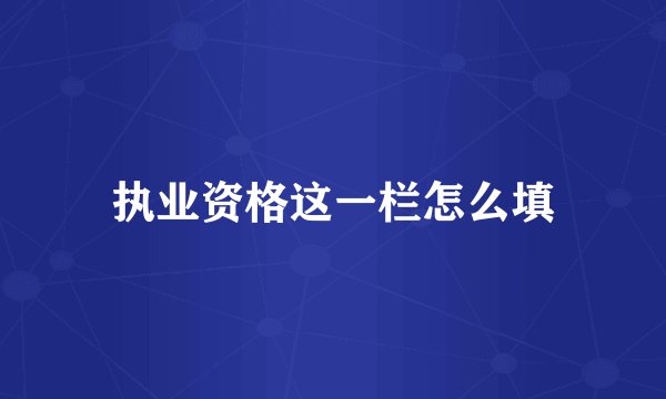 执业资格这一栏怎么填