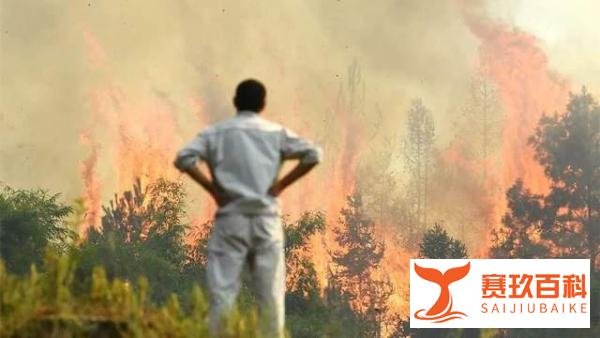全民齐心共灭火,重庆山火终扑灭!高温复燃仍堪忧,应急方法拿好