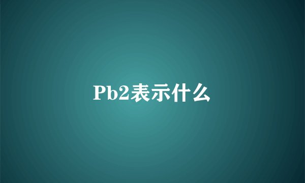 Pb2表示什么
