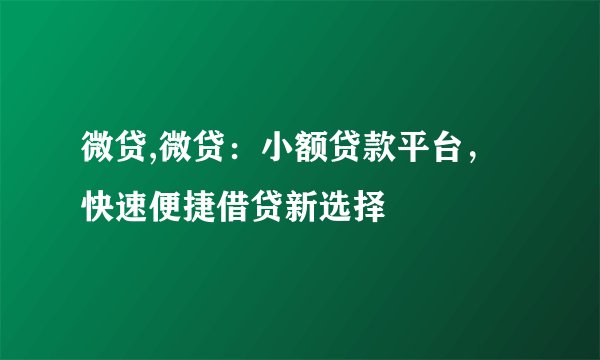 微贷,微贷：小额贷款平台，快速便捷借贷新选择