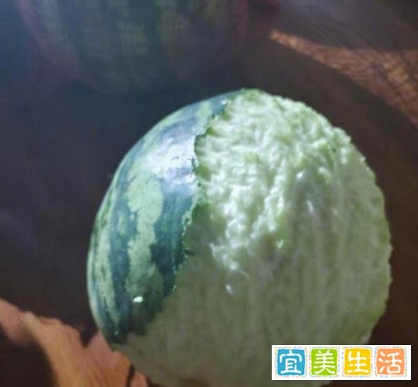 兔子咬西瓜一千多口没吃到瓤