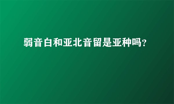 弱音白和亚北音留是亚种吗？
