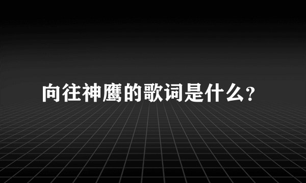 向往神鹰的歌词是什么？