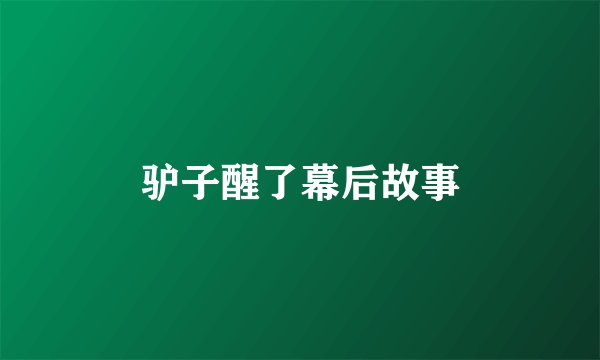 驴子醒了幕后故事