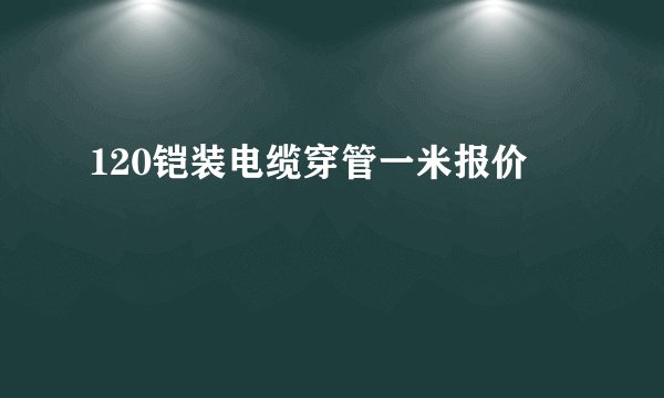 120铠装电缆穿管一米报价