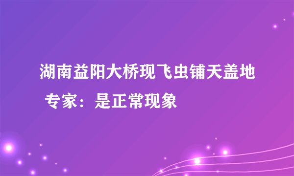湖南益阳大桥现飞虫铺天盖地 专家：是正常现象