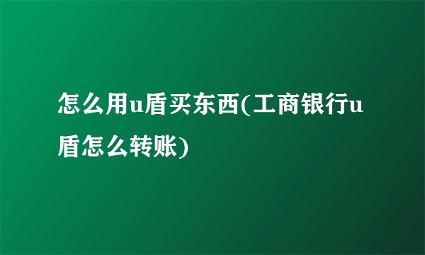 怎么用u盾买东西(工商银行u盾怎么转账)