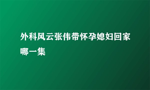 外科风云张伟带怀孕媳妇回家哪一集