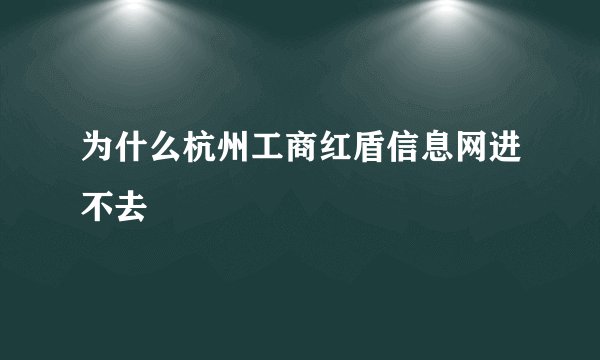 为什么杭州工商红盾信息网进不去