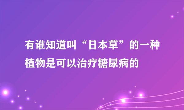 有谁知道叫“日本草”的一种植物是可以治疗糖尿病的