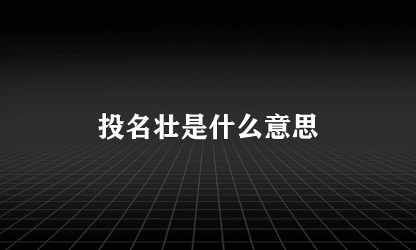 投名壮是什么意思