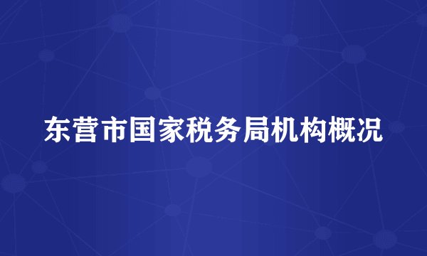 东营市国家税务局机构概况