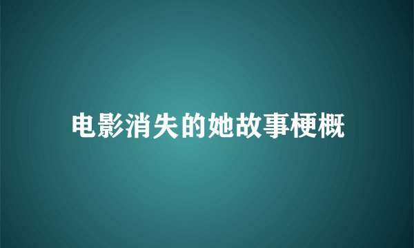 电影消失的她故事梗概