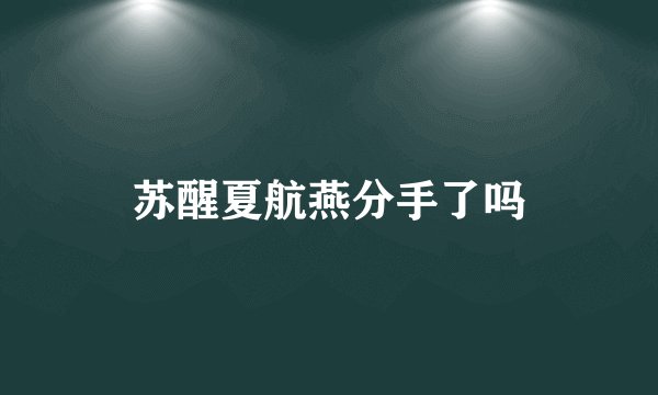 苏醒夏航燕分手了吗