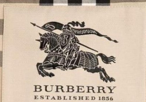 baneberry和BURBERRY有什么不同？