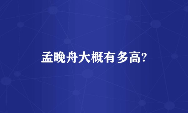 孟晚舟大概有多高?