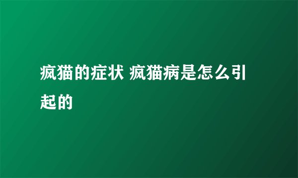 疯猫的症状 疯猫病是怎么引起的