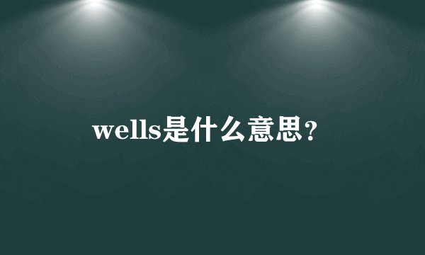 wells是什么意思？