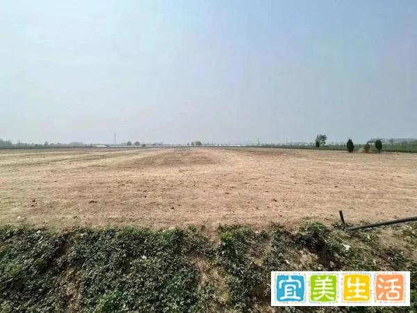 女杂技演员坠亡事件，更多细节披露