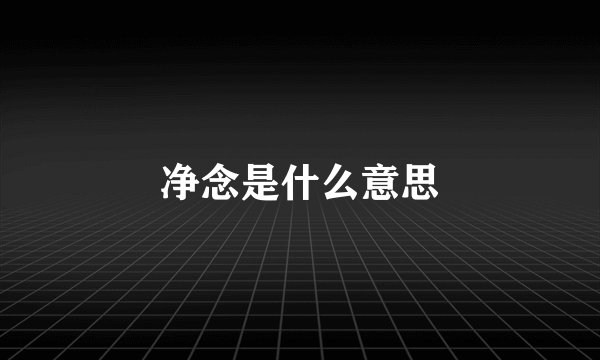 净念是什么意思