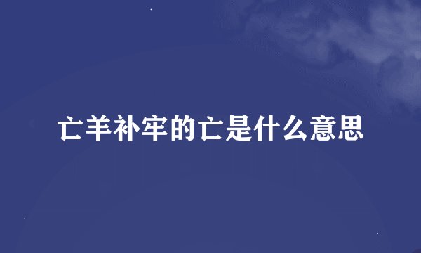亡羊补牢的亡是什么意思