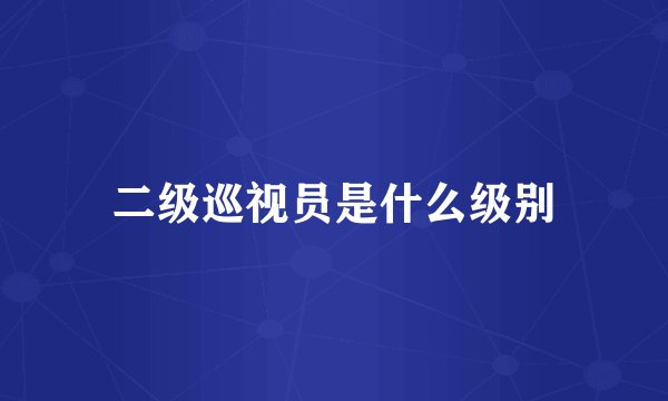二级巡视员是什么级别