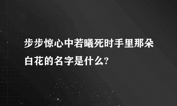 步步惊心中若曦死时手里那朵白花的名字是什么?