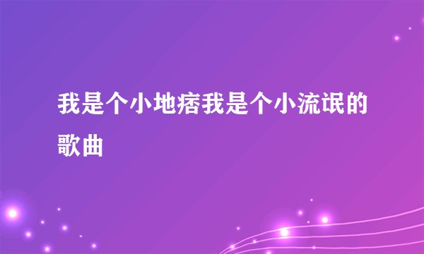 我是个小地痞我是个小流氓的歌曲
