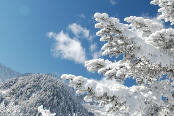 春天下雪的诗句 古诗