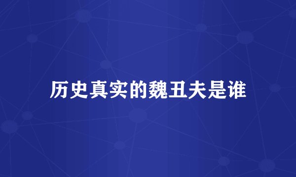 历史真实的魏丑夫是谁