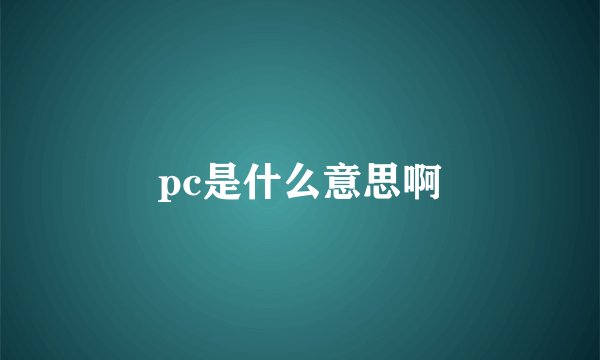 pc是什么意思啊