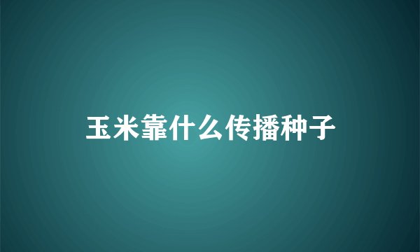 玉米靠什么传播种子