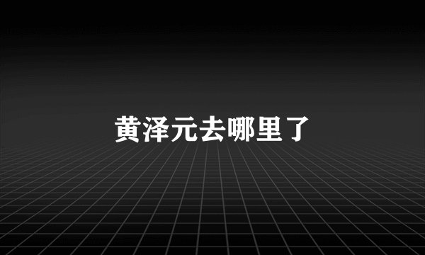 黄泽元去哪里了
