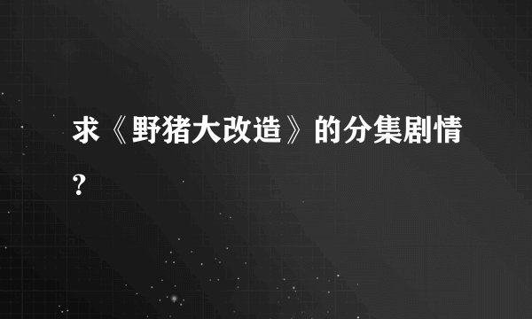 求《野猪大改造》的分集剧情？